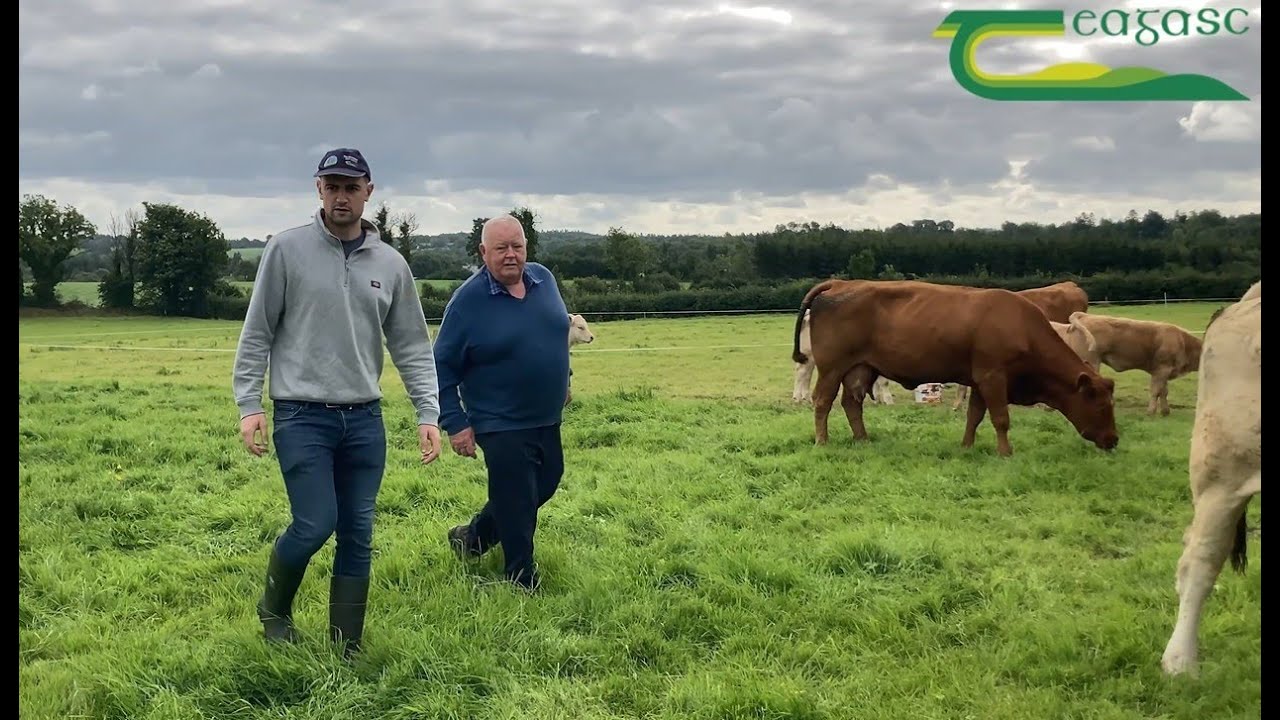 Sean Murray Farm Walk 2nd September at 6.30pm 2025