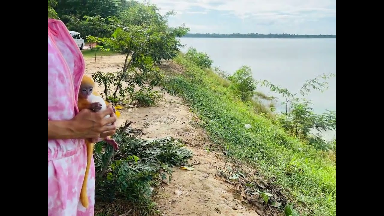River view with my princess DOLlar&rsquo;s monkey