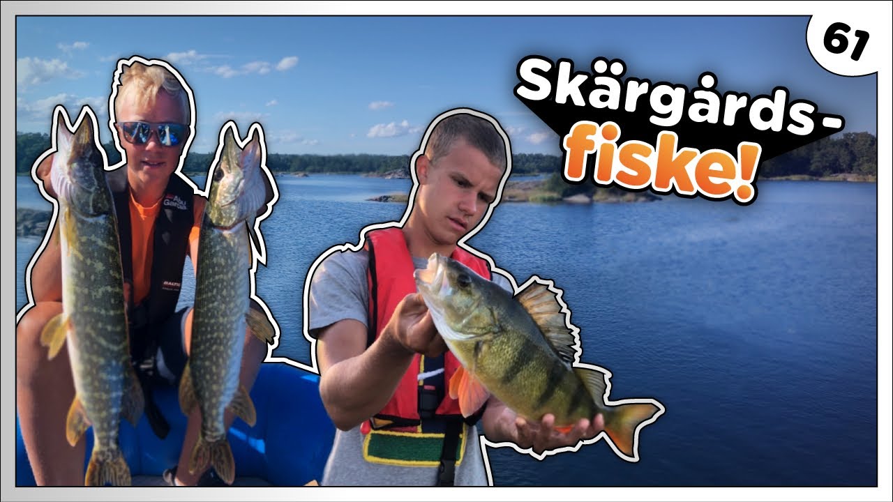 SKÄRGÅRDSFISKE EFTER ABBORRE OCH GÄDDA! (Davids Predatorfiske #61)