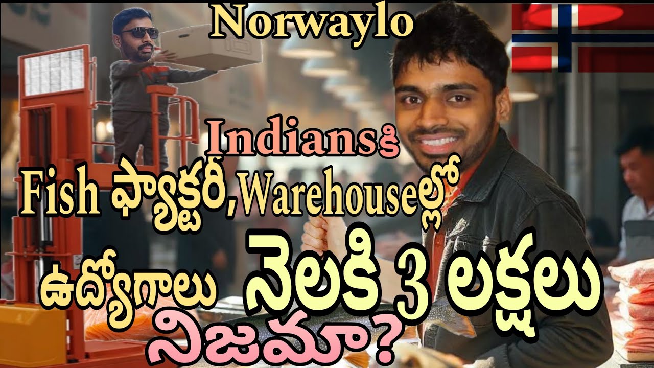 jobs in Norway for Indians, True? #norwaylotelugollu #norwayjobs #indianinnorway #telugunri
