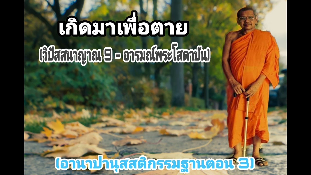 อานาปานุสสติกรรมฐานตอน 3 | เกิดมาเพื่อตาย วิปัสสนาญาณ 9 | พระโสดาบัน สุกขวิปัสสโก | หลวงปู่ฤาษีลิงดำ