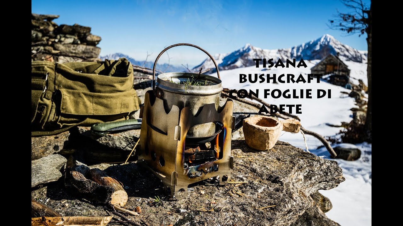 Tisana bushcraft, con foglie di abete. Una delizia!