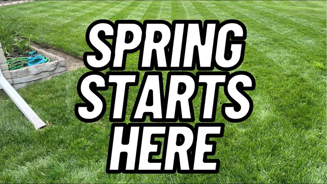 Spring Lawn Care Steps for Beginners (Unless you don&rsquo;t care about grass)