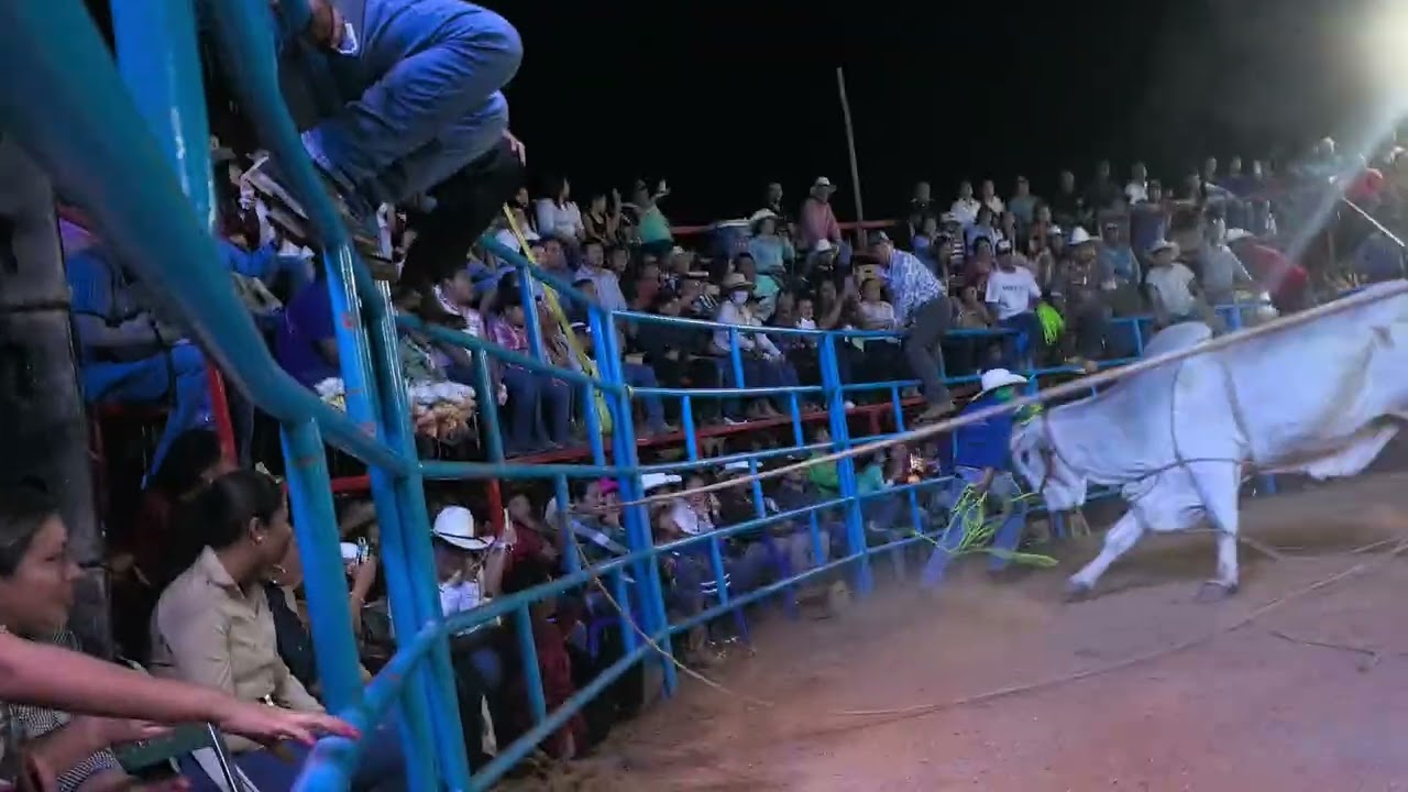 JARIPEO 14 DE FEB 2026 EL PORVENIR CHIMALAPA MONTA 21