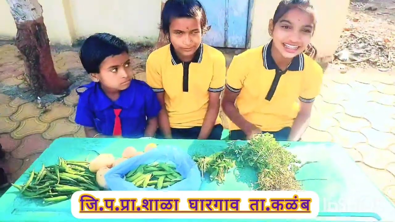 बाल आनंद मेळावा जि.प.प्रा.शाळा घारगाव