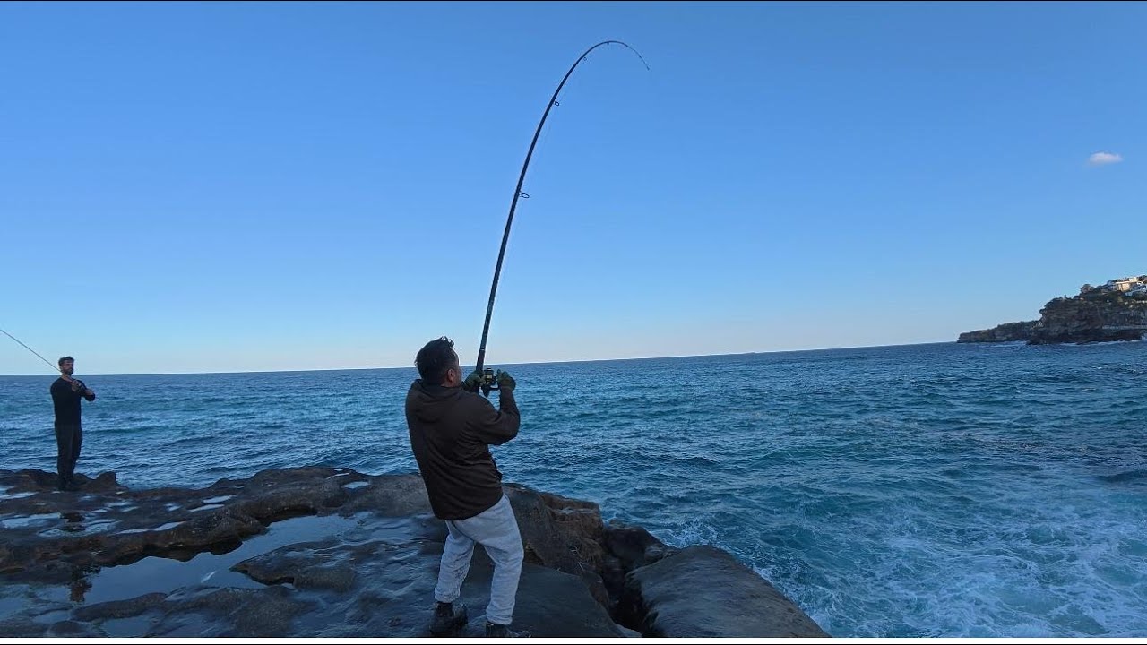 Sydney Fishing 
