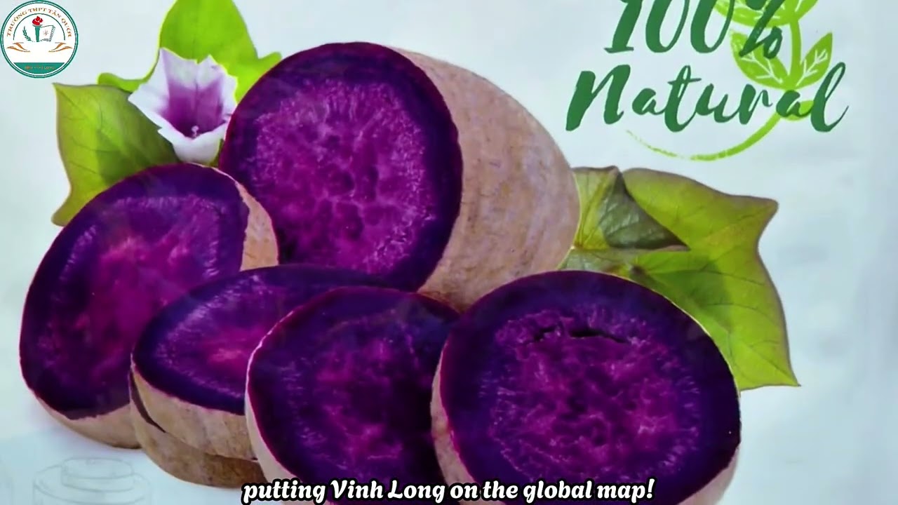 THPT TÂN QUỚI_ HBTA VL 2025-2026