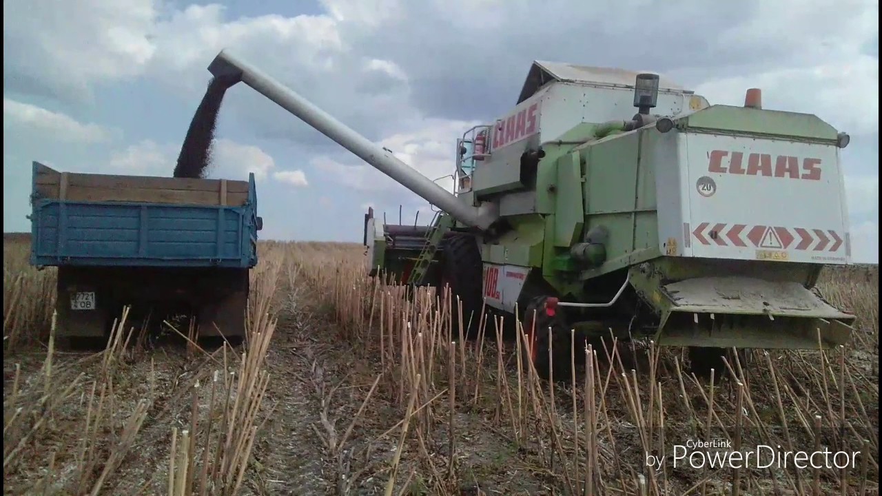 Комбайн Claas Dominator 108SL Maxi #СтанЮс #DIMIDROLKR Может лайк? Я старался