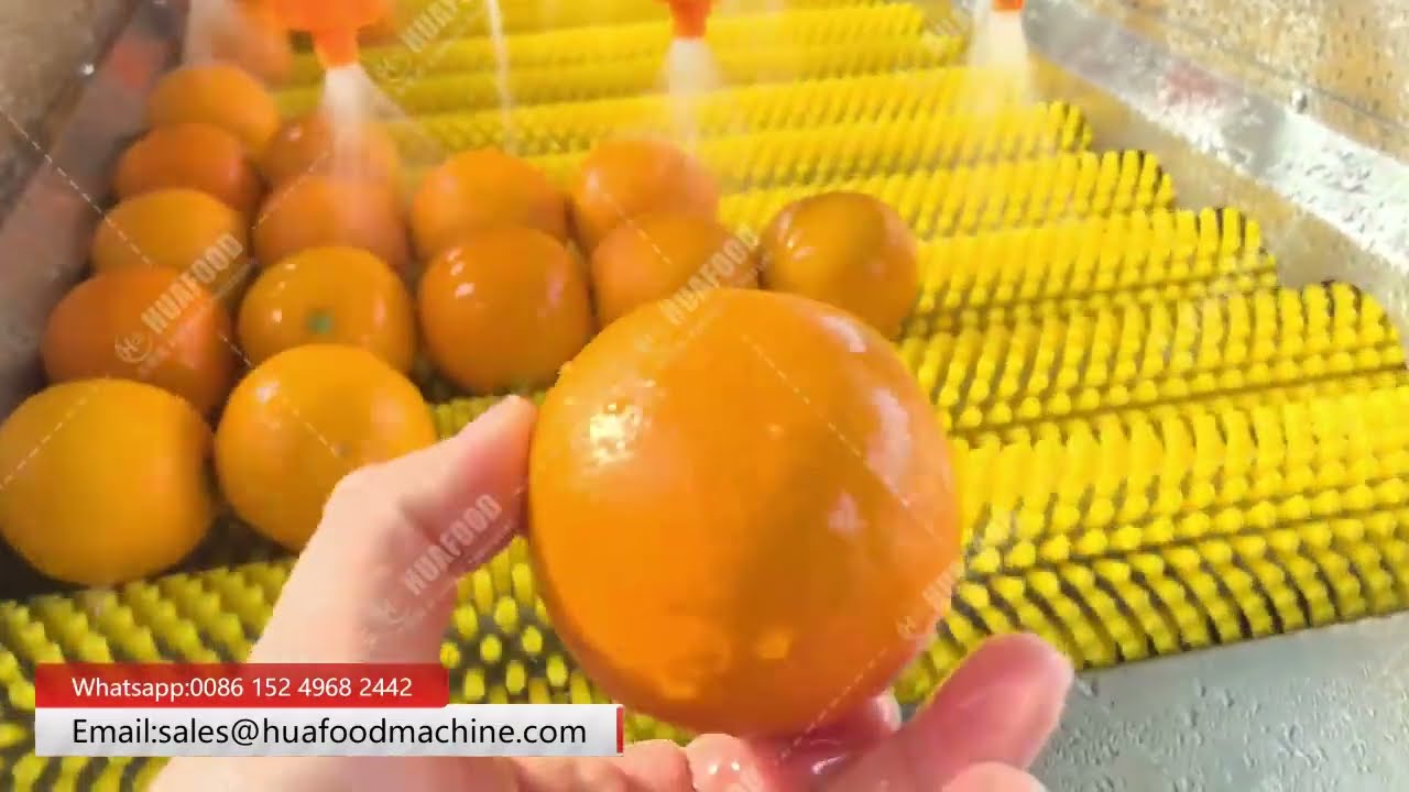 Industrial Orange Fruit Washing Machine with Air Bubble & Brush