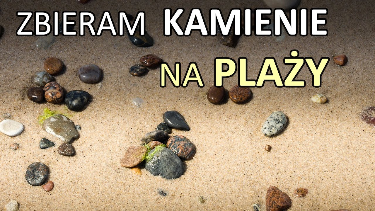 Co znajdziemy na bałtyckiej plaży? Poszukiwania skamieniałości nad morzem.