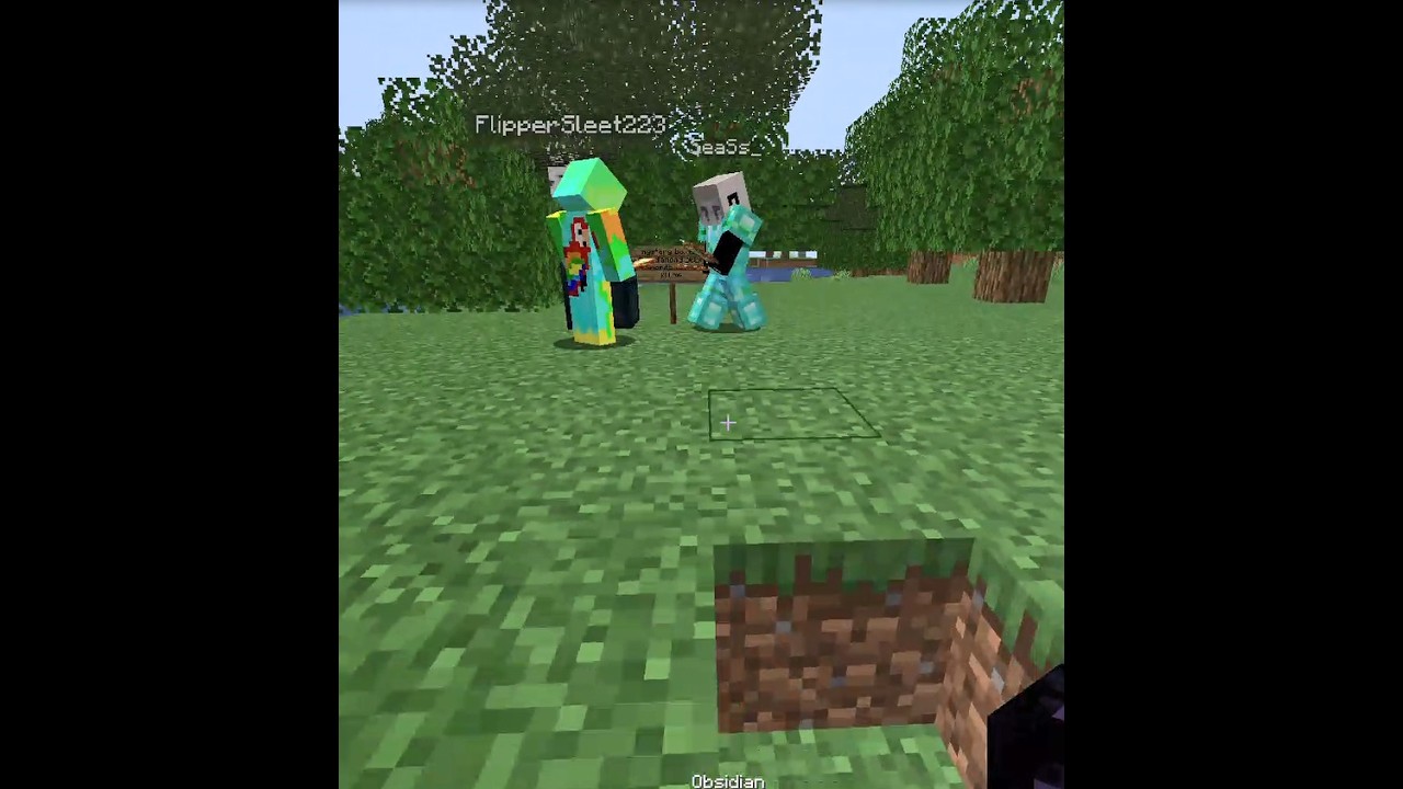 Donut SMP Fight