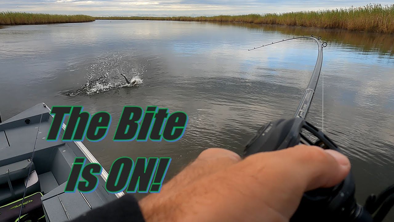 Sabine River and Blacks Bayou Fishing