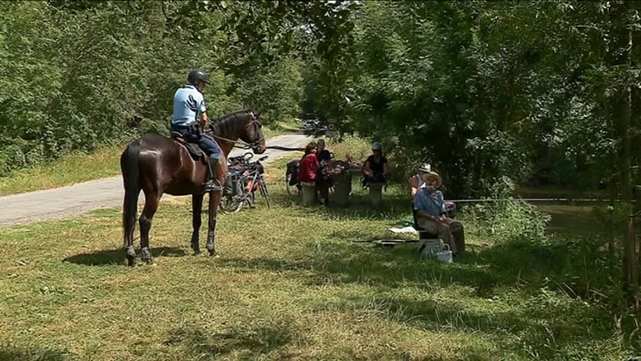 Les gendarmes à cheval sont de retour dans le Marais poitevin