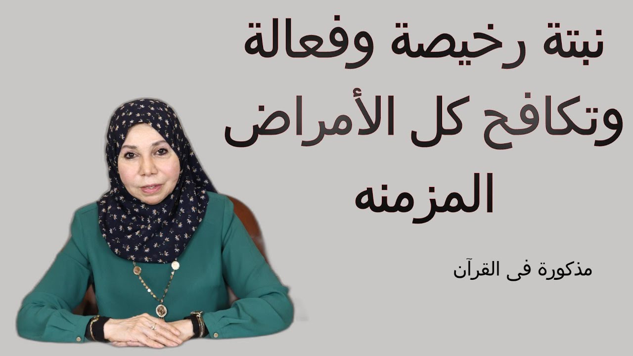 نبتة رخيصة وفعالة وتكافح كل الأمراض المزمنه