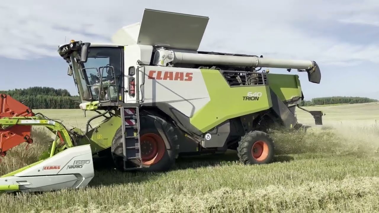 MulticcoAgro vs 1300ha//Żniwa 2024 na wielką skalę//Lexion750&Tion640//Fendt936