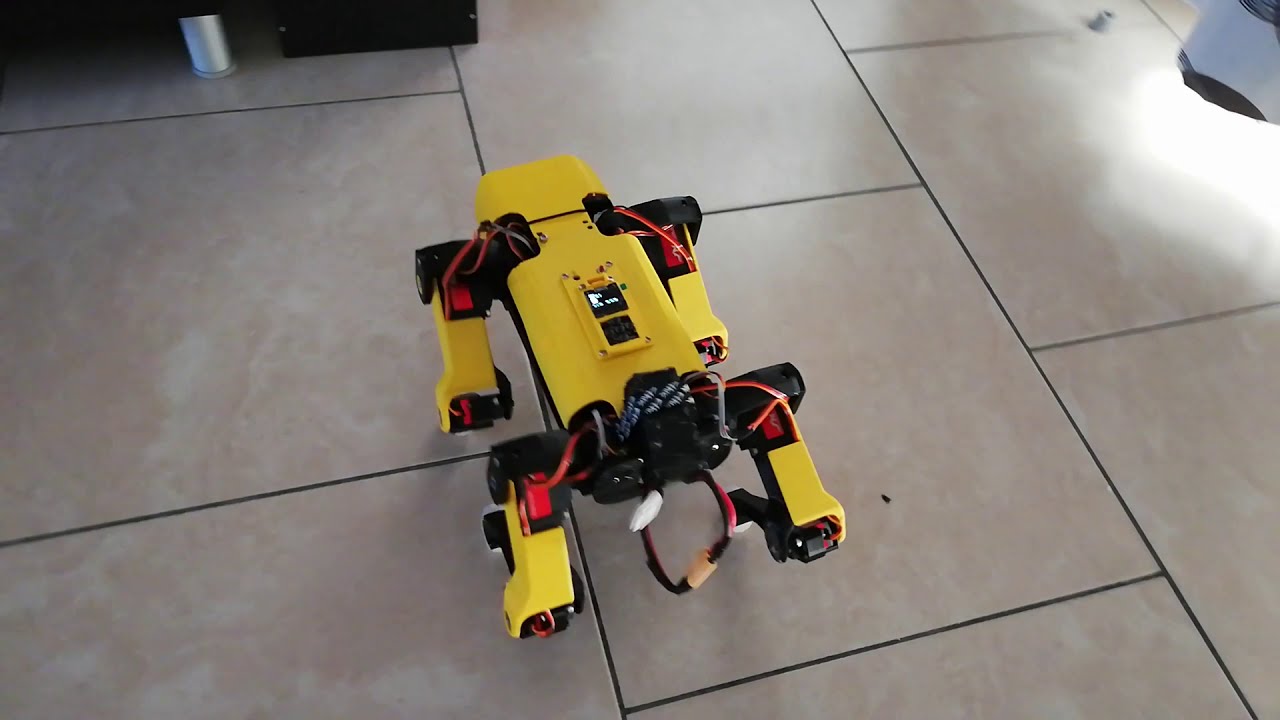SPOTMICRO Walking