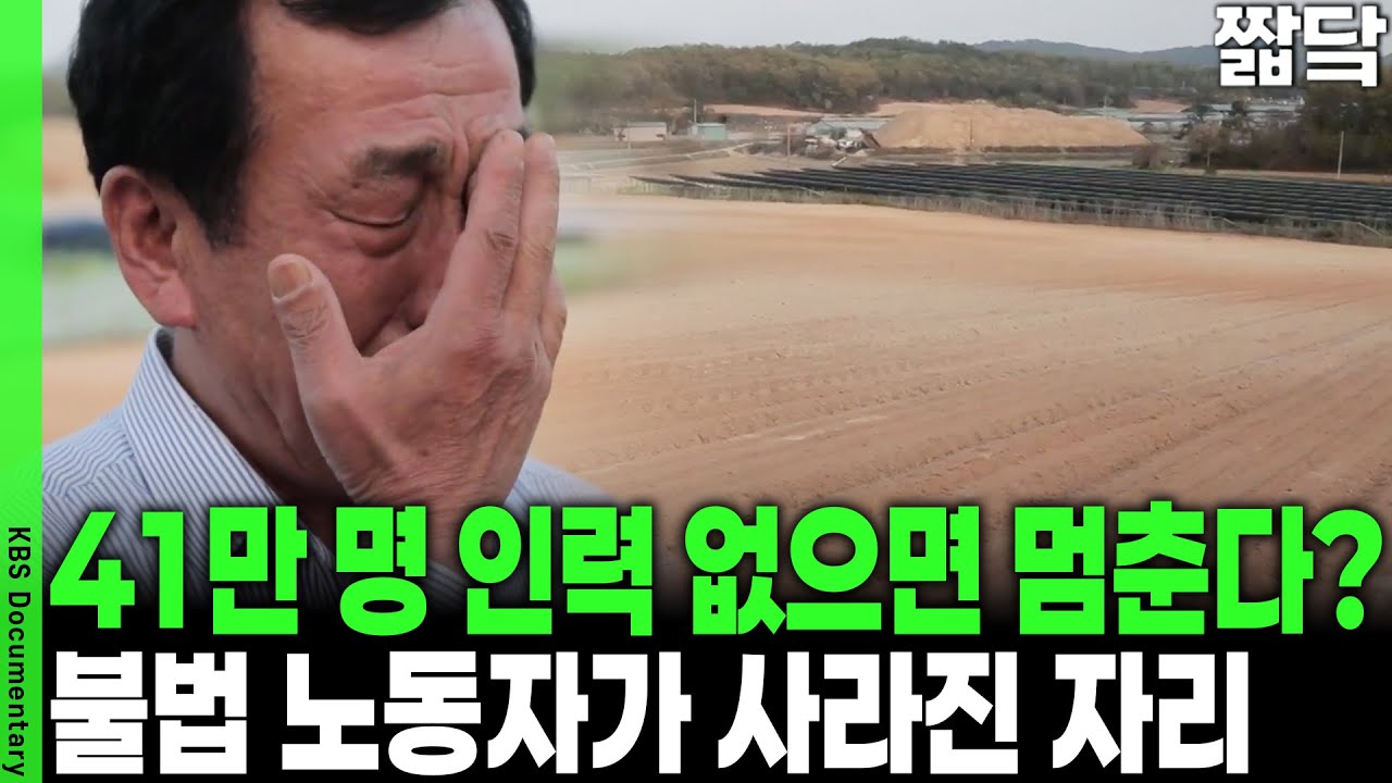 비자 없어도 OK! SNS에서 거래되는 미등록 외국인 노동 시장... 불법과 생존의 딜레마 | KBS 20230609 방송