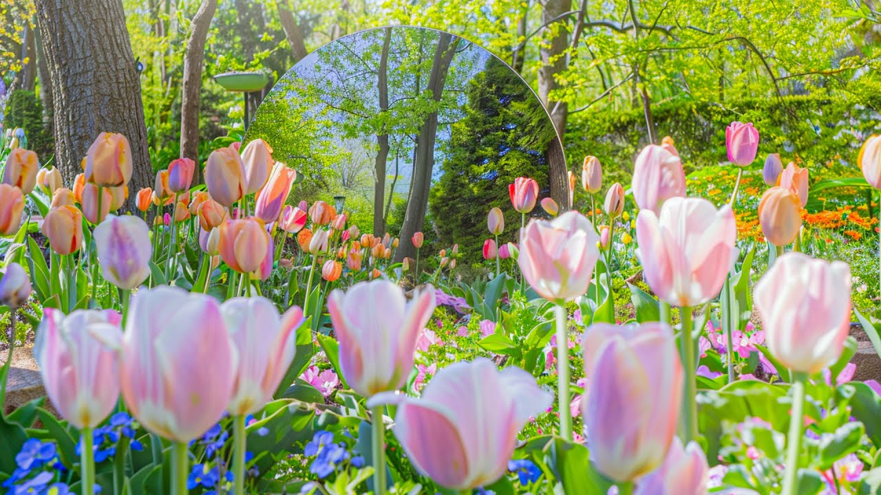 Красивая расслабляющая музыка❤️Успокаивает нервную систему и освежает душу.