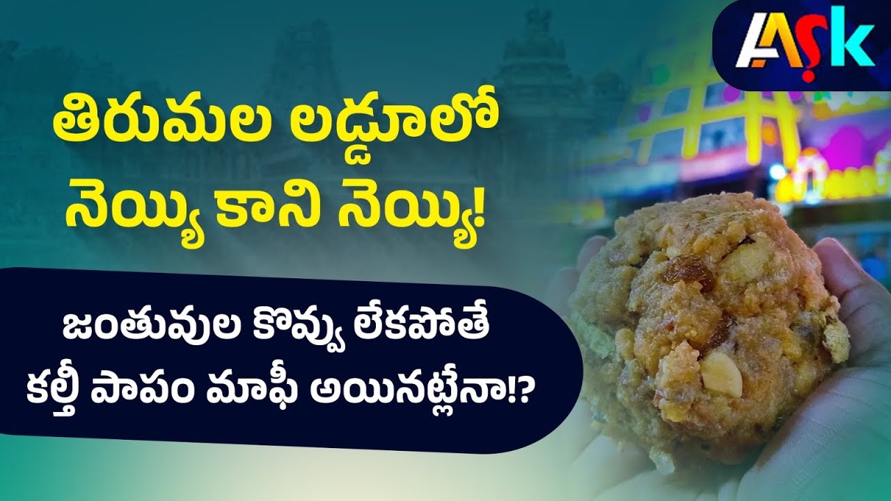 Tirumala Laddu Ghee Adulteration Case: Falsity of YCP | @AASK