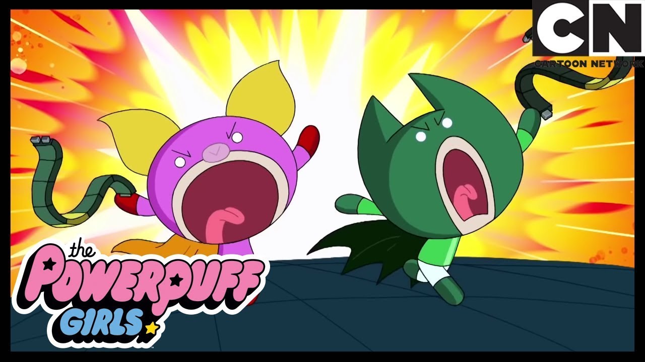 Florzinha Ao Cubo | As Meninas Superpoderosas | Cartoon Network 🇧🇷