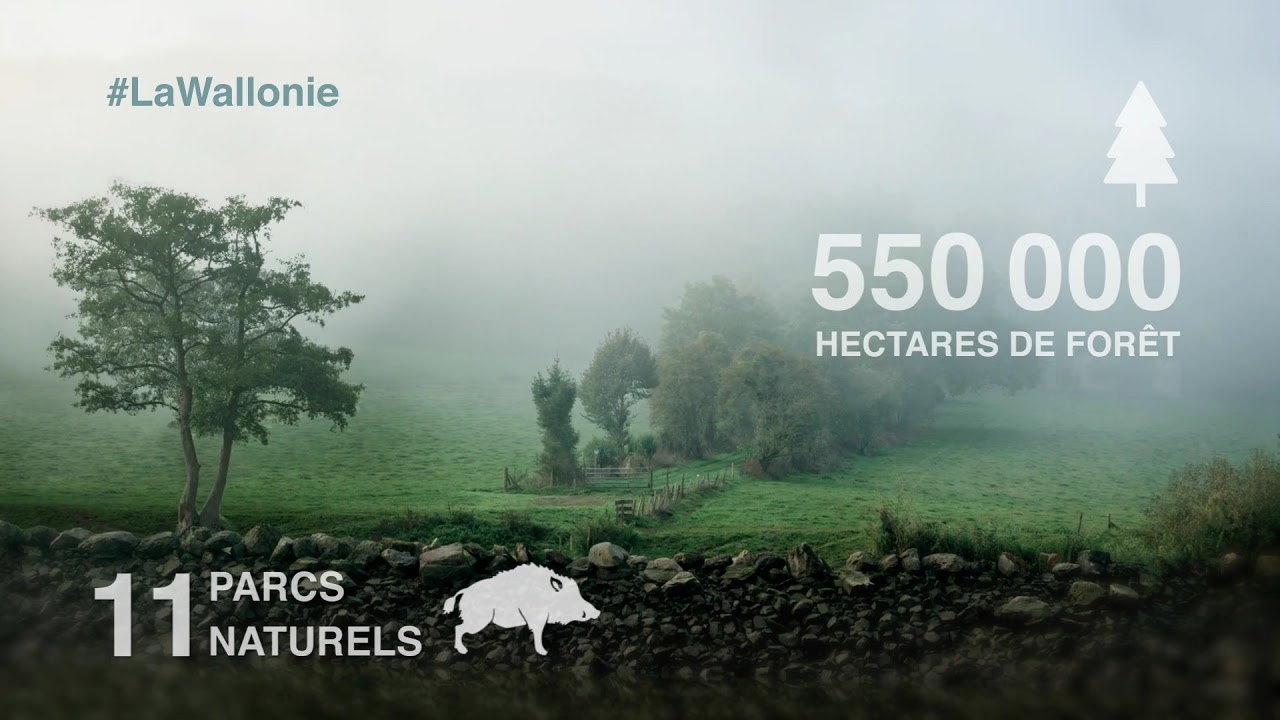 Pr&eacute;sentation g&eacute;n&eacute;rale de la Wallonie
