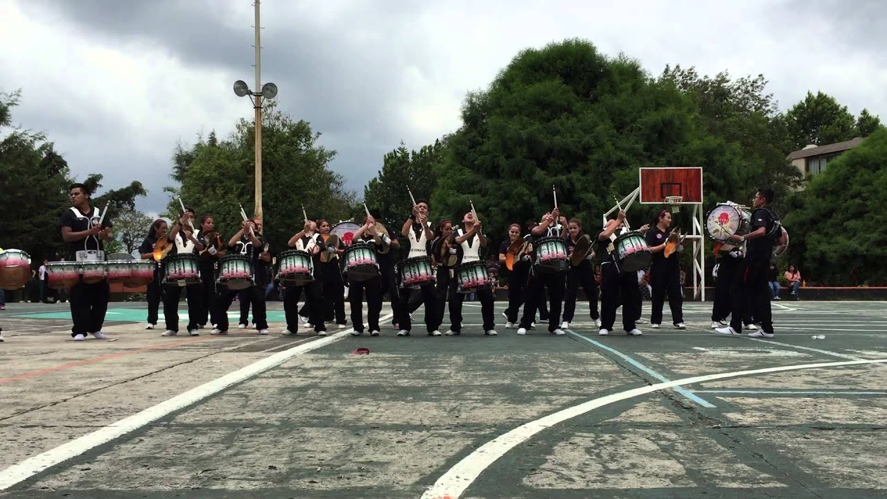 Delfines Marching Band Drumline Percu show 
