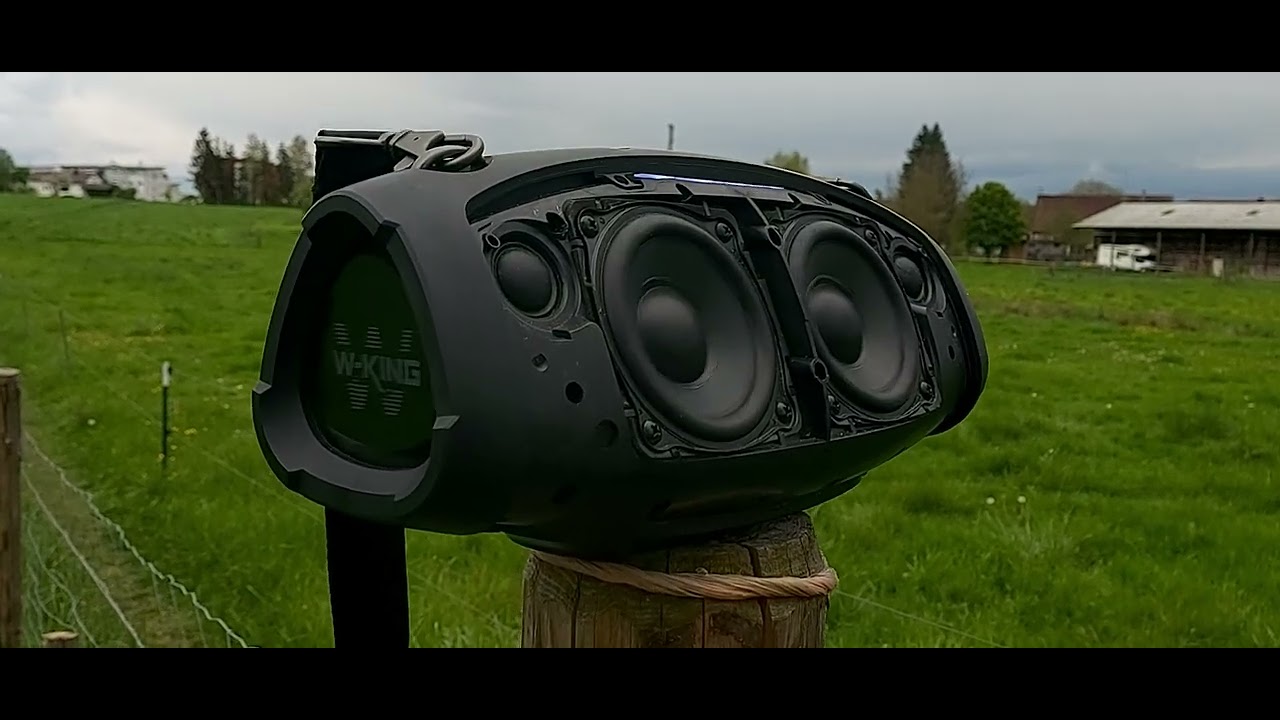 wking x10 bass test