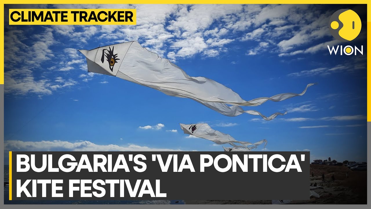Kite festival on black sea coast follows path of migratory birds | WION Climate Tracker