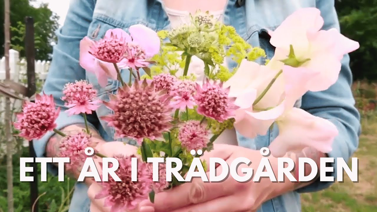 Andra ÅRET I MIN TRÄDGÅRD - trädgårdsvisning 2023 - TRÄDGÅRDSDESIGNERNS TRÄDGÅRD