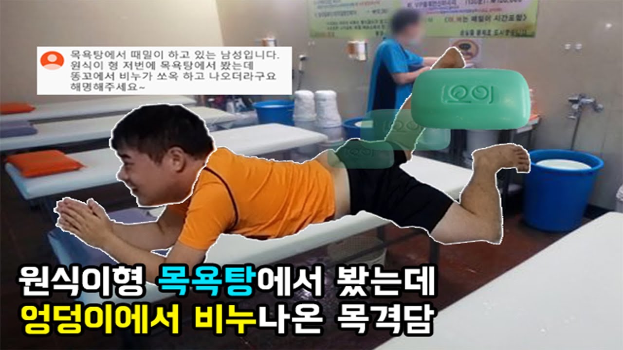 충격! 구독자들의 보따 실제 목격담