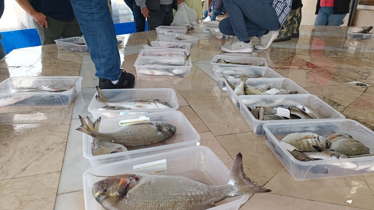 CANLI YAYIN.. URLA ÖZBEKTE HARİKA VE BOL ÇEŞİT VARDI.. KAÇIRMAYIN.