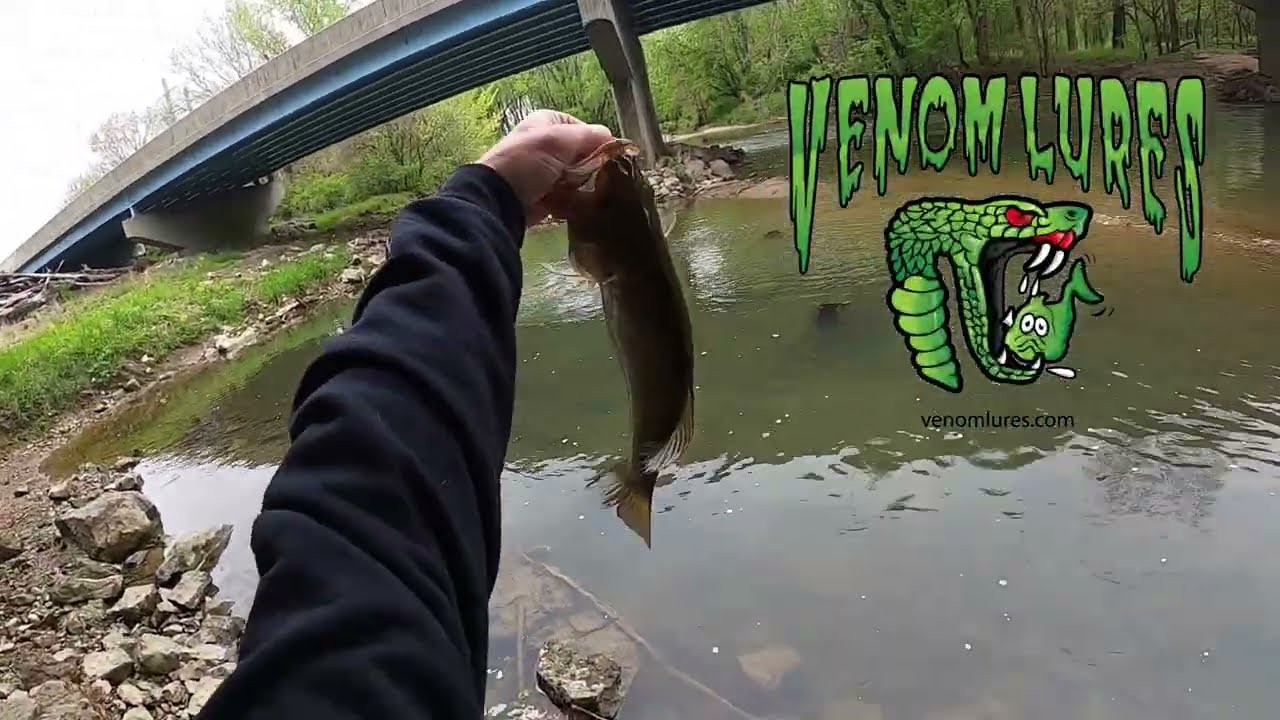 My FAVORITE River Smallmouth LURE!  | Venom Lures Skip Shad | Soft Jerkbait Fishing | Finesse