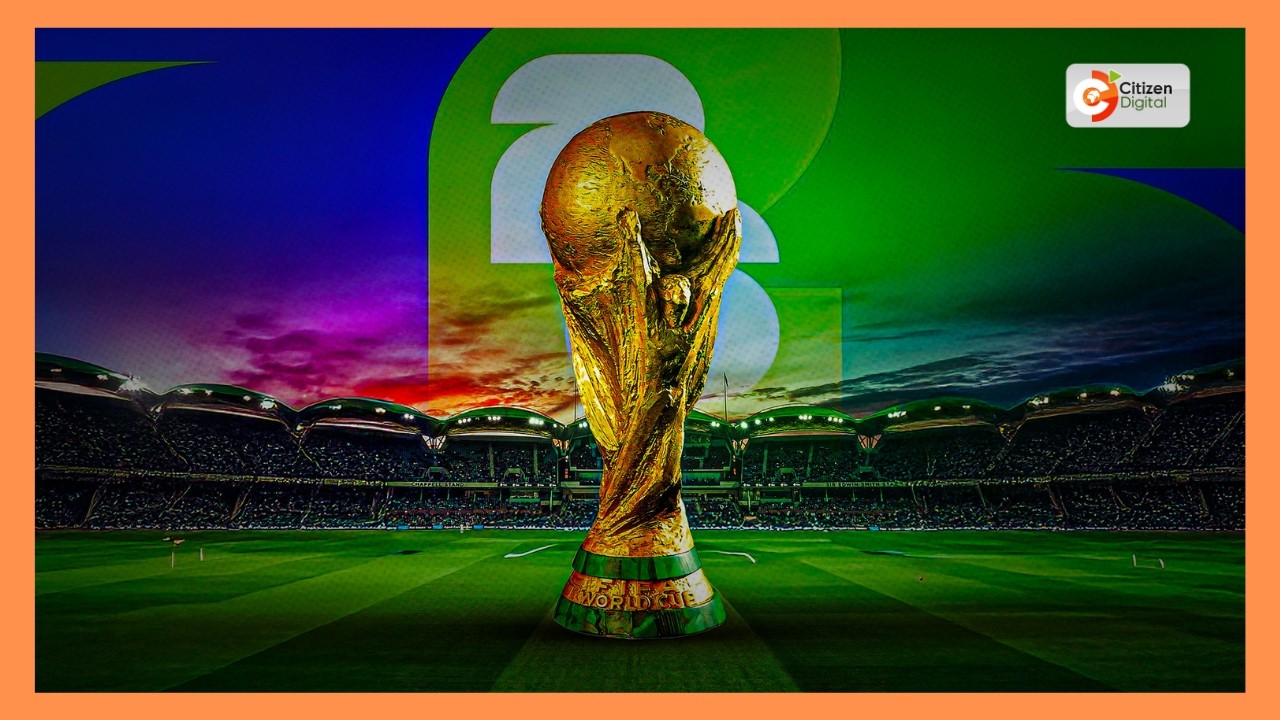 World cup barn |   World cup star's new signings