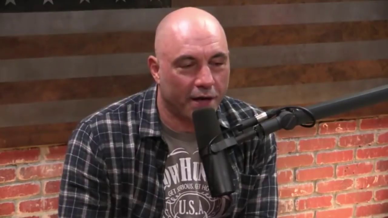 Joe Rogan on Bad Trips