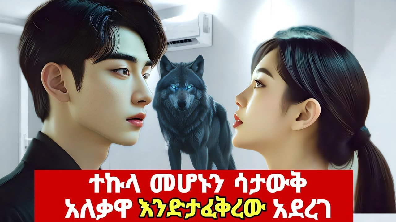 ተኩላ መሆኑን ሳታውቅ አለቃዋ እንድታፈቅረው አደረገ|melgna film | young ታሪኪዝም | የኮሪያ ድራማ