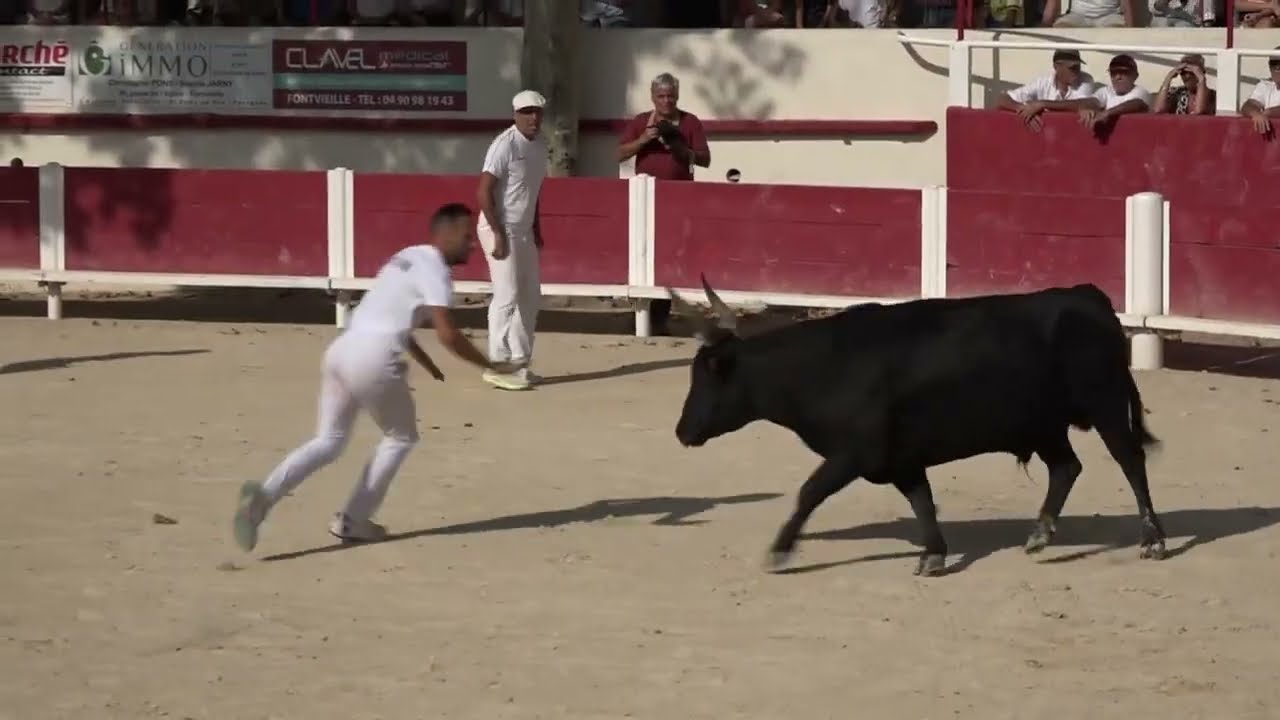 FONTVIEILLE (25/08/2024) - Le résumé de la course