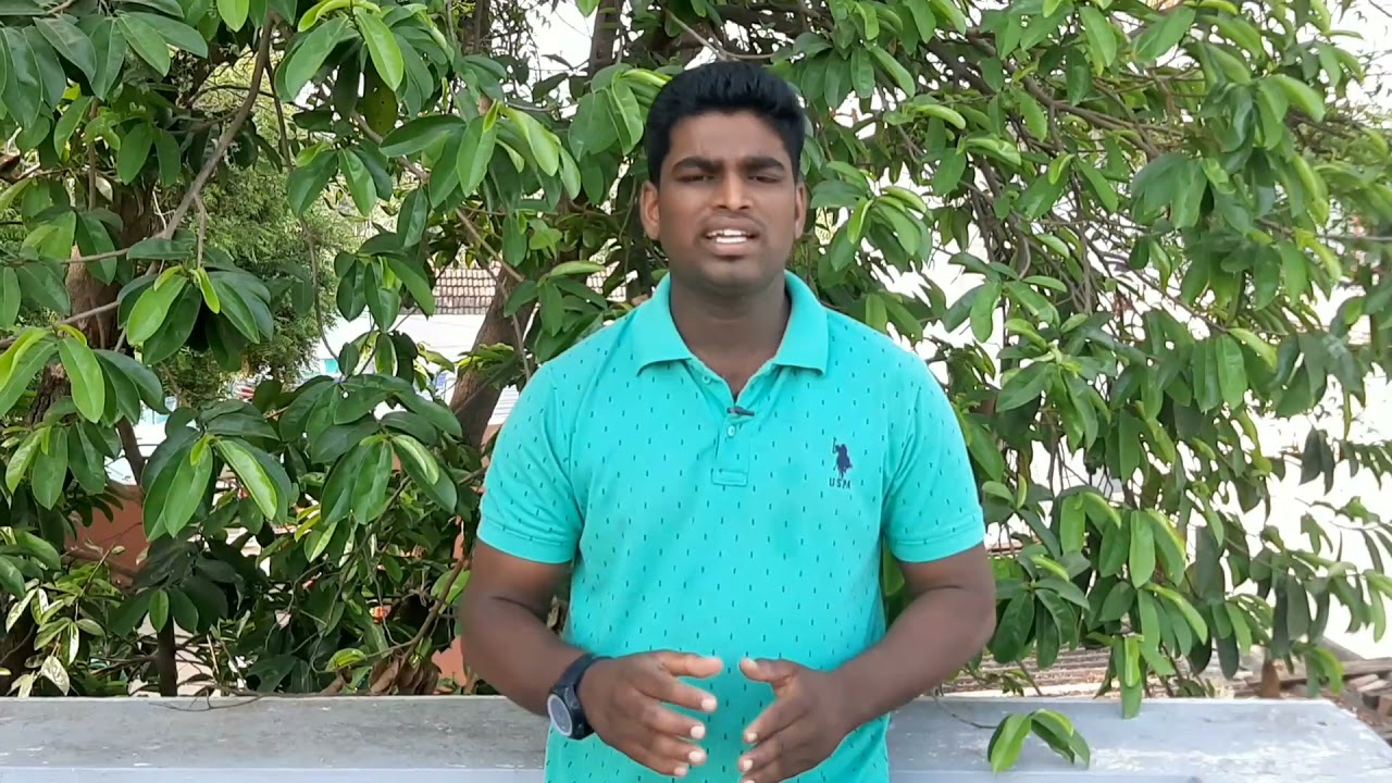 உங்கள் மாடு சினைக்கு வரவில்லையா சினை பிடிக்க வில்லையா கவலை வேண்டாம் ?இதை செய்தால் போதும்!!