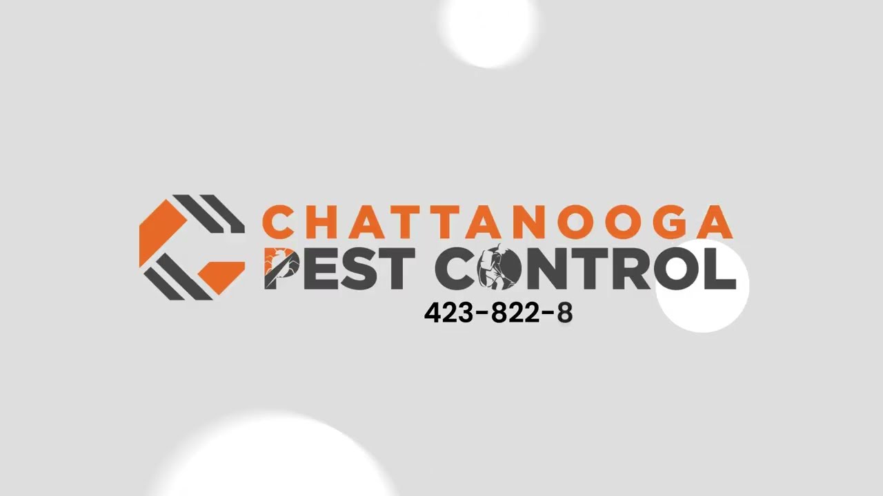 Chattanooga Pest Control: Your Complete Solution for All Pest Problems in Chattanooga, TN