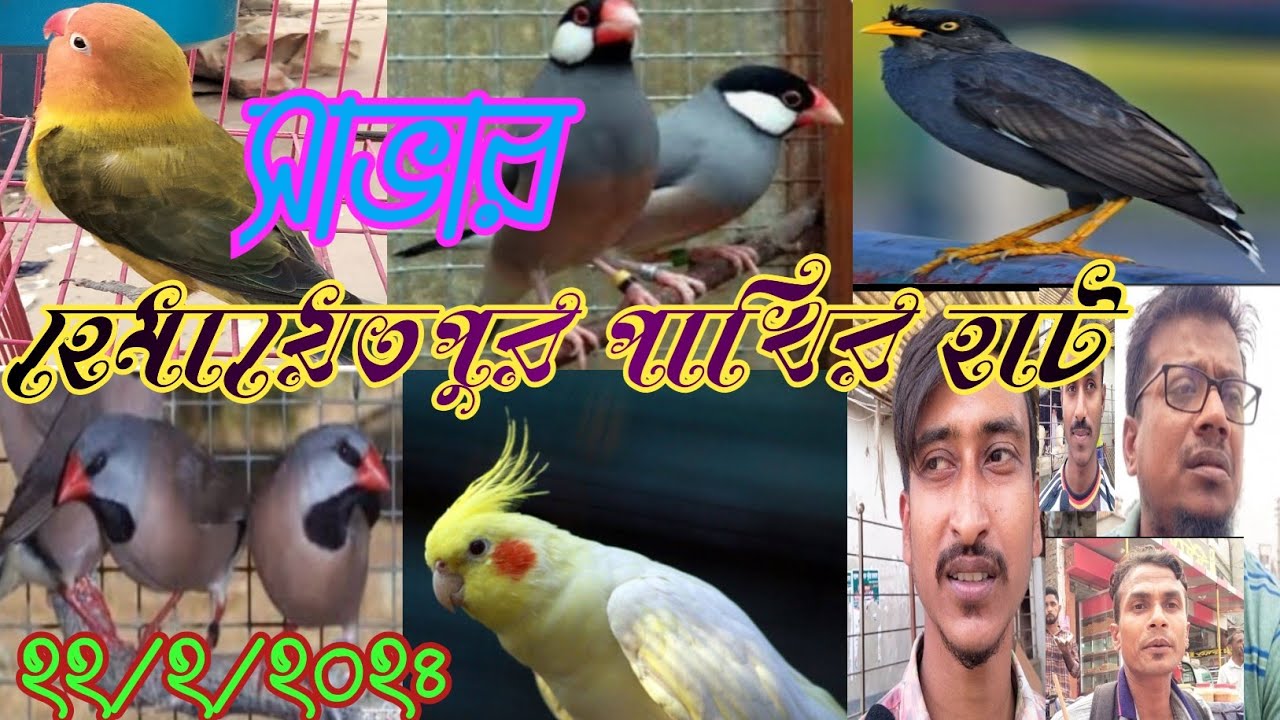 সাভার হেমায়েতপুর পাখির হাট । হেমায়েতপুর পাখির হাট ২০২৪#viral