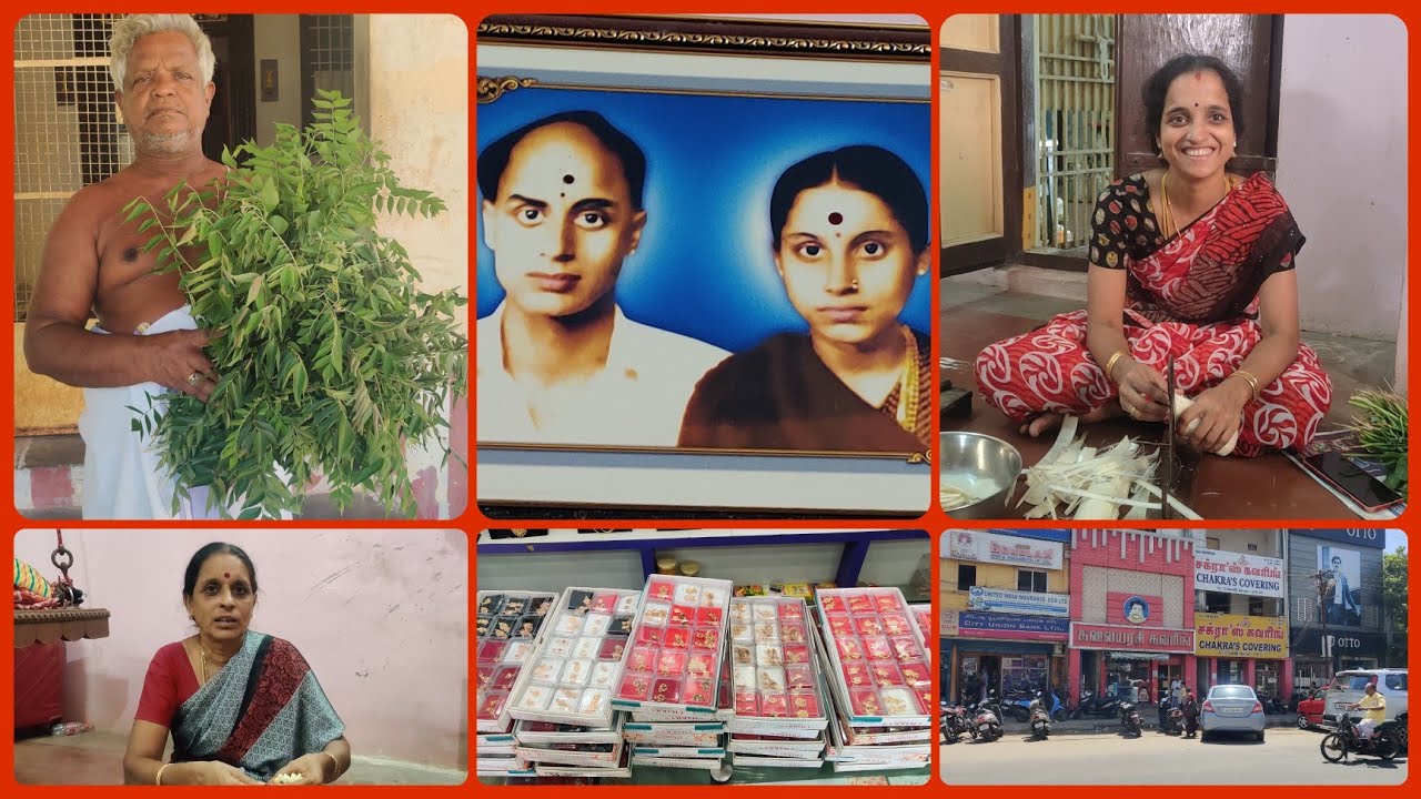Amma Veetu Vlog | A day in my Life | Hometown | Village Lifestyle | Shopping vlog | Travel with me