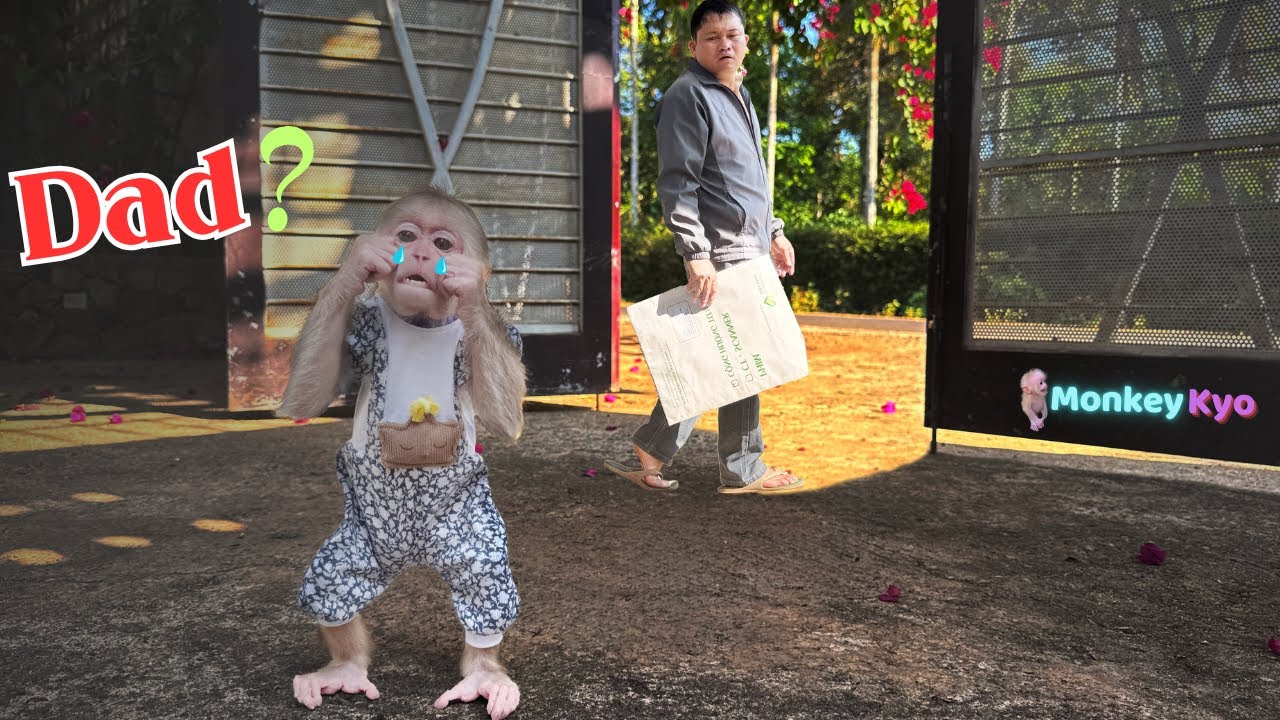 Kyo choked up hearing Dad’s heartbreaking story… and then she did THIS!