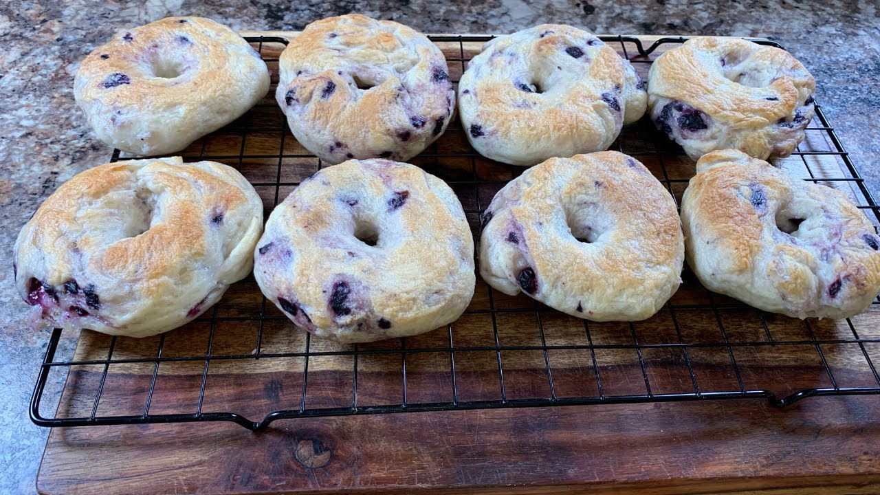 NOVA SCOTIA BLUEBERRY  HOMEMADE BAGELS