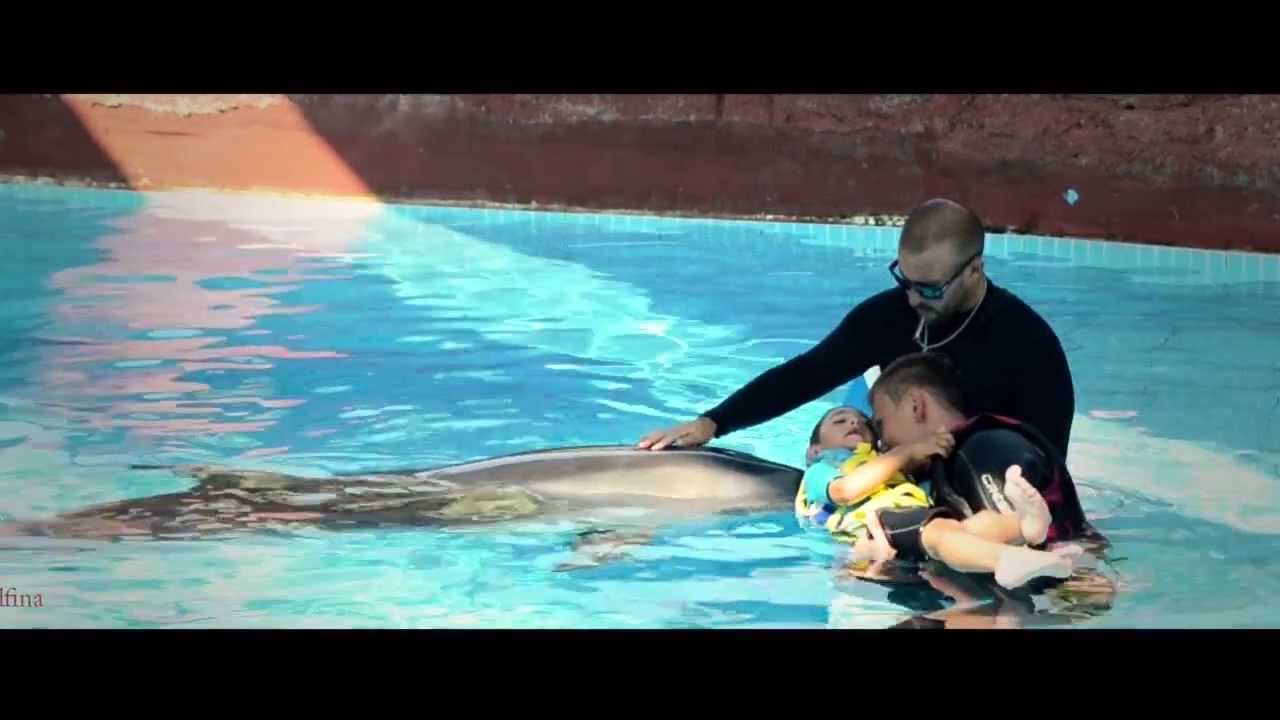 Delfinoterapia Fundacja Dobra Wioska PL
