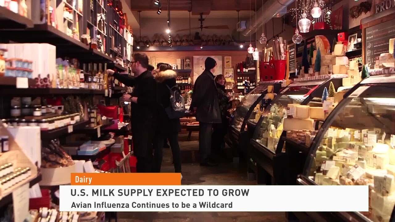 Dairy Market Trends