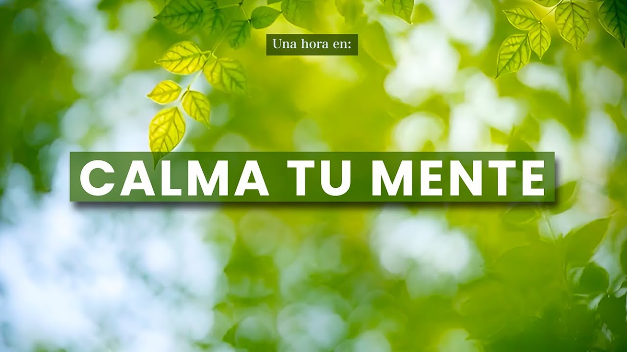 Relax Your Mind ✨ Calma tu Mente (Ambient Forest Music)(1 hora)