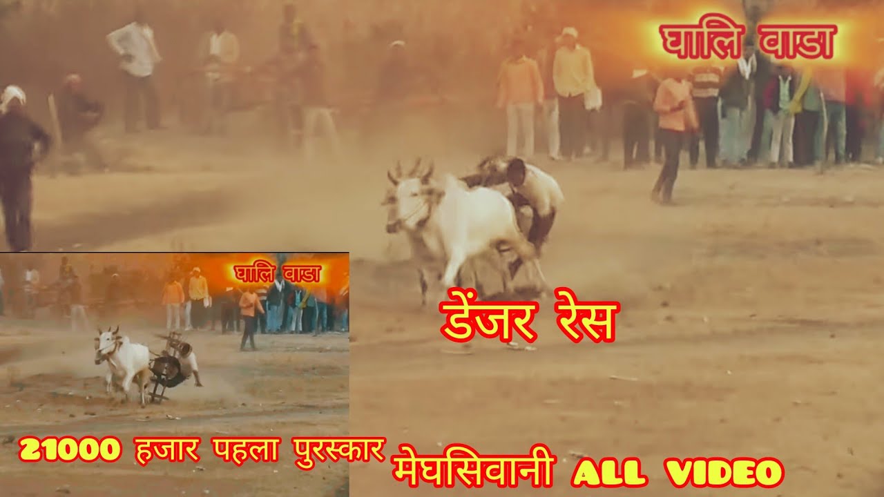 All video fast raund मेघा सिवनी 4/1/2026 25000 हजार वाला जिला छिंदवाड़ा