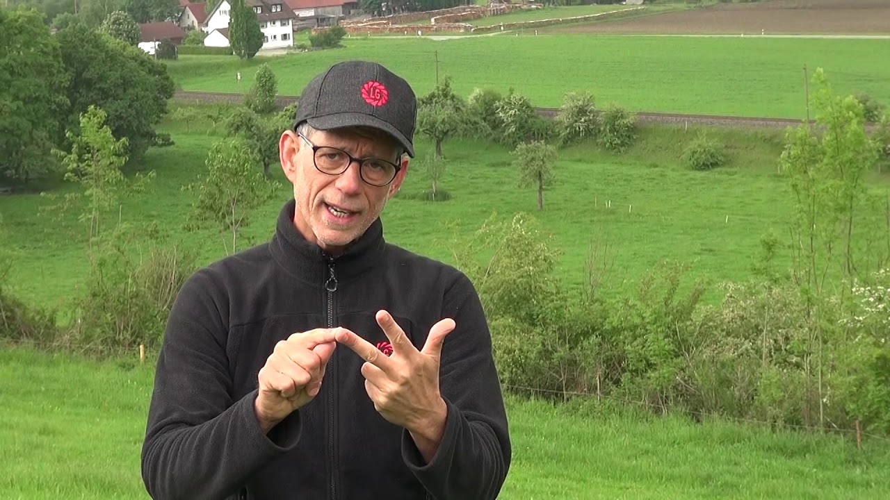 Gruenland Beurteilung - ein Besuch in der Praxis