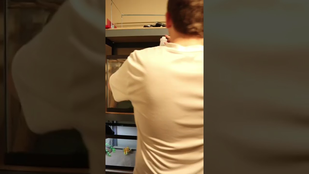 Cleaning All My Reptile Enclosures
