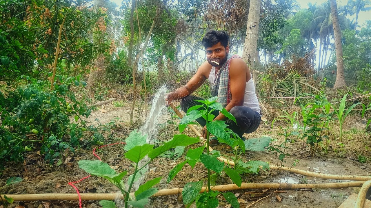 কালকে মণিকদা তাদের বাগানের গাছে জল দিচ্ছিল | গ্রামের সুন্দর মুহূর্ত