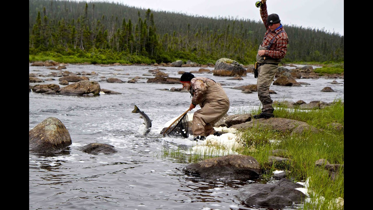 Atlantic Salmon Dry Fly Fantasy | Arluk Outfitters Newfoundland